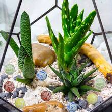 混合玻璃弹珠球，包括哑光饰面、3朵花、8朵花、芝麻点玻璃球，适用于户外活动、花盆、鱼缸、花园、游泳池、手工艺品、DIY装饰