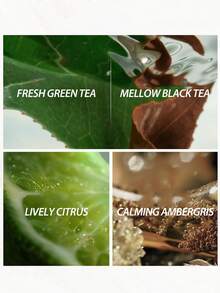 GIORGIO ARMANI [迷你装] PRIVE THE YULONG 香氛身体乳 50ml / 闪耀绿茶与烟熏红茶香氛的身体乳，奢华保湿 / 这款身体乳蕴含保湿成分、乳木果油 - The Yulong 50ml - 查看 3