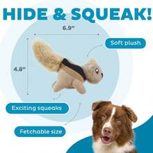 Outward Hound Squeakin' Squirrels Plush Replacement Dog Toys - 3 Pack - 1 - 查看 3
