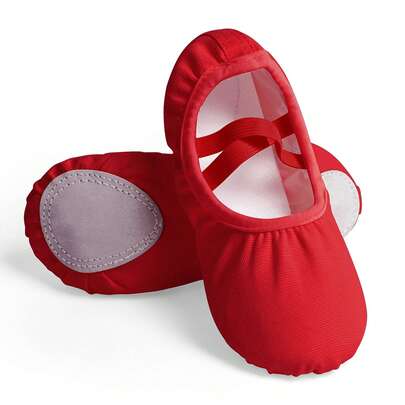 Daydance Women Ballet Shoes Soft Sole Ballet Dance Slippers Practise Ballerina Shoes Dance Shoes