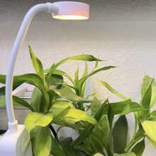 1/2 Unidades Lámpara de iluminación para acuario con pinza, 3 fuentes de luz de color, conmutación entre modos de luz blanca, cálida y neutra, brillo ajustable, cabeza giratoria 360°, flexible y portátil, tamaño pequeño, alimentada por batería (batería no incluida)/versiones recargables, adecuada para plantas de acuario, recipiente de vidrio, pequeño estanque de agua dulce, accesorio de iluminación para acuario, lámpara para pecera, lámpara para libros pequeños