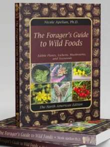 The Forager's Guide To Wild Foods | High-Quality Images & Maps For Plant Identification | Guidelines, Recipes, Full Page Photos, Medicinal Uses - Một cỡ - Xem 2