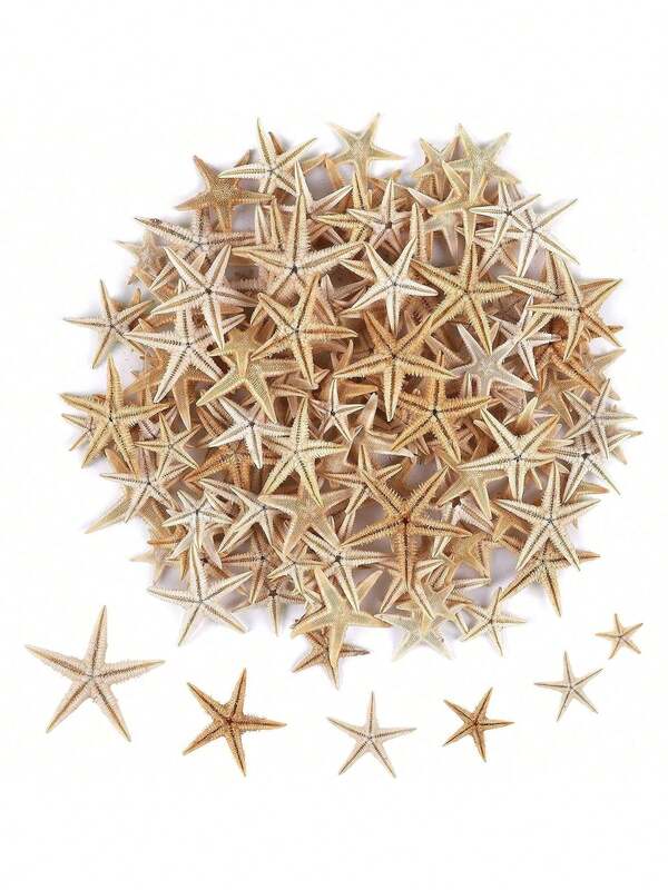 100+ Pcs Small Starfish Star Sea Shell Beach For Craft 0.4"-1"