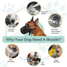 1 pièce Muselière anti-morsure pour chien, nouveau masque de protection pour la bouche en grillage métallique respirant pour animaux de compagnie