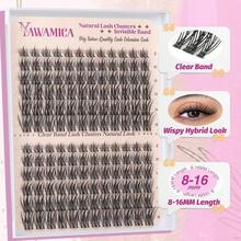 Manga Lash Clusters DIY Eyelash Extensions Fairy Eyelash Clusters C Curly Spiky Anime Lashes Wispy Individual Lashes 8-16mm With 5-6mm Bottom Lashes Clusters For Manga Lash Look - Clear Band-Hybrid - View 4