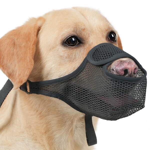 1pc Pet Dog Anti-Biting Muzzle, New Design Mesh Breathable Dog Mouth Cover Safety Prevention