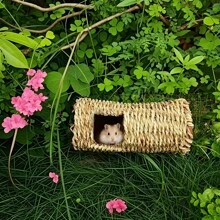 Casa de refugio para animales pequeños, túnel de escondrijo de hierba, juguetes para roer, centro de actividades, nido para hámsteres, conejillos de Indias, jerbo y chinchillas