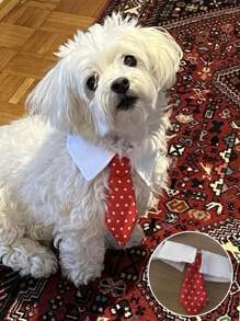 1 pezzo Accessori alla moda per collari di cani e gatti: papillon, collane e costumi