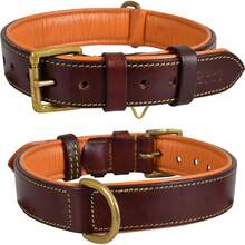 Pet Basic Dog Collars - Raven - View 7
