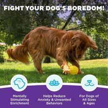 Outward Hound By Nina Ottosson Treat Tumble Interactive Puzzle Ball Dog Toy, Level 1 Beginner, Blue, Small (4.75" Diameter) - 翻滾款待(大紅色) - 查看 3