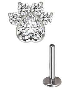 Aretes de titanio ASTM F136 con circonitas engastadas en forma de pata de gato, animal o perro, con rosca interna de 1,2 mm (calibre 16), para piercing de caracola, hélix, cartílago, lóbulo, trago y daith.