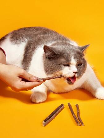 PETSIN 5pcs Natural Valerian Root Cat Chew Sticks, Catnip Chew Toys, For Teeth Cleaning, Suitable For All Cats