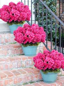 4/2pcs Artificial Shrubs Geraniums Realistic UV Protected Red Pink Begonia Flowers With Green Foliage For Indoor & Outdoor Decor, Perfect For Garden, Porch, Patio, Window Box, And Hanging Planter, Garden Decor , Christmas, Halloween, Thanksgiving, Valentine's,Maintenancefree Plants, Artificial Outdoor Flowers Shrubs