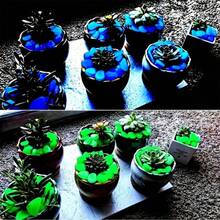 100 件/包多色夜光鹅卵石，花瓶/花盆装饰夜光石，适用于魔法花园、水族馆装饰、景观设计或婚礼装饰荧光鱼缸造景鹅卵石（0.31 * 0.39 英寸）