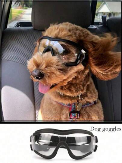 Une paire de lunettes transparentes pour animaux de compagnie, étanches, coupe-vent, anti-UV et résistantes aux UV. Grandes lunettes pour chiens, tour de tête réglable