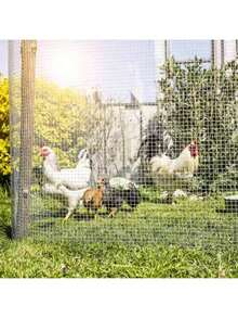 ARISE - Malla de Alambre Galvanizado 6MM-13MM – Resistente y Duradera, Ideal para Protección y Cercados de Conejos, Cobayas, Pollos y Pequeños Animales | Antióxido y Fácil de Manipular - Plateado - Ver 4