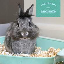 Oxbow Comfort - Ropa de Cama de Animales pequeños, Absorbente de olores y Humedad, Ropa de Cama sin Polvo para Animales pequeños, Color Blanco, Bolsa de 36 litros - Blanco - Ver 4