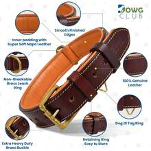 Pet Basic Dog Collars - Raven - View 9
