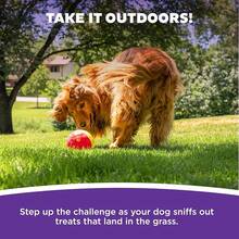 Outward Hound By Nina Ottosson Treat Tumble Interactive Puzzle Ball Dog Toy, Level 1 Beginner, Blue, Small (4.75" Diameter) - 翻滾款待(大紅色) - 查看 5