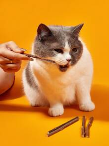 PETSIN 5 Peças/grupo Vara De Gato De Raiz De Valeriana Natural, Brinquedos Mastigáveis De Catnip, Para Limpeza De Dentes, Adequado Para Todos Os Gatos - Café - Visão 2