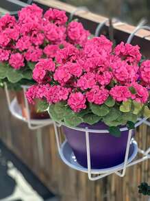 4/2pcs Artificial Shrubs Geraniums Realistic UV Protected Red Pink Begonia Flowers With Green Foliage For Indoor & Outdoor Decor, Perfect For Garden, Porch, Patio, Window Box, And Hanging Planter, Garden Decor , Christmas, Halloween, Thanksgiving, Valentine's,Maintenancefree Plants, Artificial Outdoor Flowers Shrubs