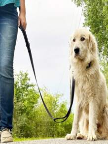 Dog Leash, Suitable For Large Dogs, Dual Hand Grip For Traffic Control, Double-Sided Reflective Dog Lead Suitable For Large & Medium Dogs At Night, 4ft, 5ft, 6ft, Black