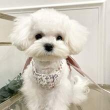 1 Piece Pet Leash For Dogs And Cats,Suitable For Bear Teddy And Other Small And Medium-Sized Pets,Pet Supplies