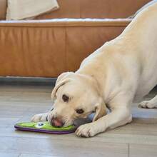 Outward Hound Tough Skinz Durable Squeaky Dog Toy With Two Tough Layers, Avocado, Green, Medium - 酪梨 - 查看 6