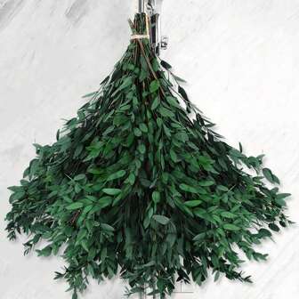 100/200g Real Dried Eucalyptus Stems For Bathing, 43cm Fresh Preserved Green Eucalyptus Leaves, Dried Eucalyptus Twigs For Decoration, Weddings, Home Decor, Rattan Material, Photography Props