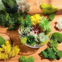 100g/3.52oz Artificial Simulated Reindeer Moss, Handmade Decorative Moss For Crafts, Potted Plants, DIY - Multicolor - View 7