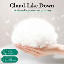 SUN YEE Goose Down Duvet Quilt 700GSM Duvet Doona Winter Summer Quilt Super King - 700GSM 超大號鵝被 - 查看 2