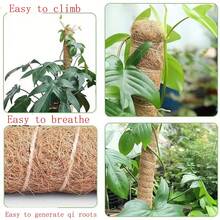 1 pieza/2 piezas Postes de musgo flexibles para plantas, plantas Monstera, soporte para plantas trepadoras, plantas de interior, plantas en maceta, estantes de soporte - marrón - Ver 7