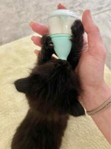 Kitten Puppy Bottles For Nursing Puppy Milk, Anti-Choking Puppy Feeder Design,With 3pcs Replaceable And Reusable Silicone Nipples For Feeding Newborn Pets,Artificial Feeding Of Newborn Pets.