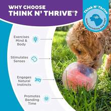 EWAJFBVOutward Hound Wobble Bowl Dog Game -Interactive Slow Feeder Bowl Dog Game - Dog Rumble (Màu cam) - Xem 6