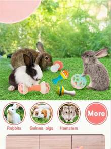 1 Set Of 3 Rabbit Interactive Toys With Bells - Plastic Ball Toy Set, Safe For Small Pets, Suitable For Mice, Rabbits, Guinea Pigs And Chinchillas