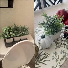 4 Pack Mini Artificial Potted Plants, 7 Inch Fake Greenery For Home Decor, Small Faux Plants For Desk, Office, Bathroom, Kitchen, Shelf – Realistic Green Indoor Plants. - Nhiều màu - Xem 8