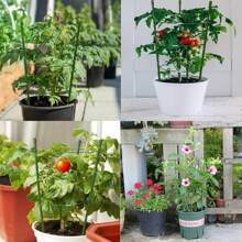 Plant Support Tomato Cages For Garden,4 Pack 18 Inch Tomato Stakes Plant Stakes For Climbing Plants Adjustable Plant Trellis For Peony Support(4 Pack With 20M Garden Twist Tie)
