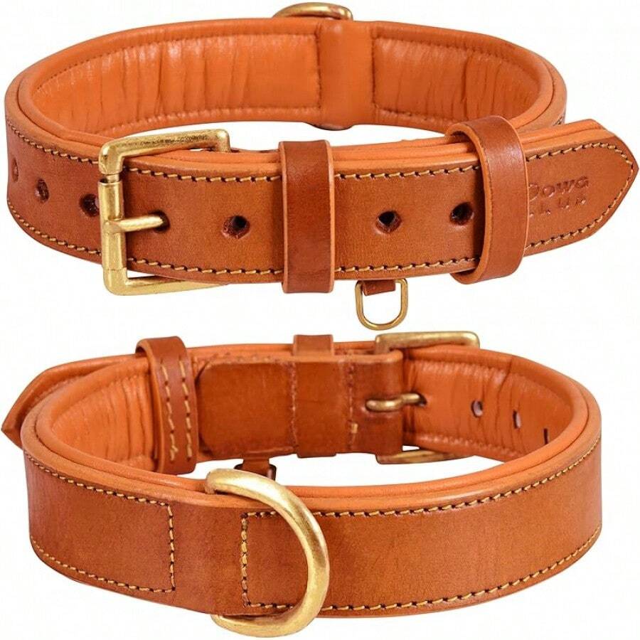 Pet Basic Dog Collars - Tangerine Orange - View 1