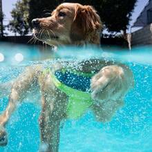 Outward Hound Granby Splash Dog Life Jacket, High-Buoyancy Dog Life Vest For Swimming, Boating, And Water Safety, Large, Orange - 綠色 - 查看 6