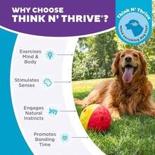 Outward Hound By Nina Ottosson Treat Tumble Interactive Puzzle Ball Dog Toy, Level 1 Beginner, Blue, Small (4.75" Diameter) - 翻滾款待(大紅色) - 查看 6