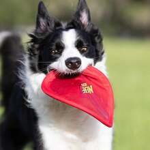 Disco volador de nylon para perros,, rojo - Rojo - Ver 10