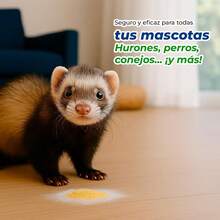 OH MY DOG Combo Limpieza Recogedor - Beis - Ver 8