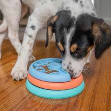 Outward Hound By Nina Ottosson Puppy Lickin' Layers Interactive Dog Puzzle Feeder, Level 2 Intermediate Enrichment Toy, Multicolored - Puppy Lickin Layers (Blue, Green, Orange) - 查看 8