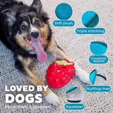 Outward Hound Tough Skinz Durable Squeaky Dog Toy With Two Tough Layers, Avocado, Green, Medium - 草莓 - 查看 4