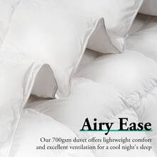 SUN YEE Goose Down Duvet Quilt 700GSM Duvet Doona Winter Summer Quilt Super King - 700GSM 超大號鵝被 - 查看 4