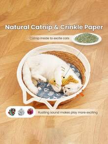 PETSIN 1pc Cat Toy Catnip Fish Pet Chew Bite Toys For Cats Funny Interactive Soft Simulation Fish Kitten Training Playing Toy Cat Supplies