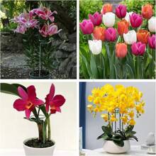 Joyhalo 16 Pack Plant Stakes For Indoor Plants, 12 Inch And 16 Inch Garden Stakes, Adjustable Plant Support Sticks For Tall Plants As Tomatoes Beans Orchid Vegetable