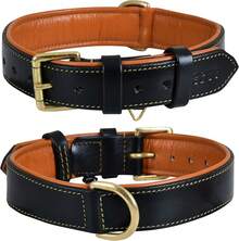 Pet Basic Dog Collars - Black - View 12