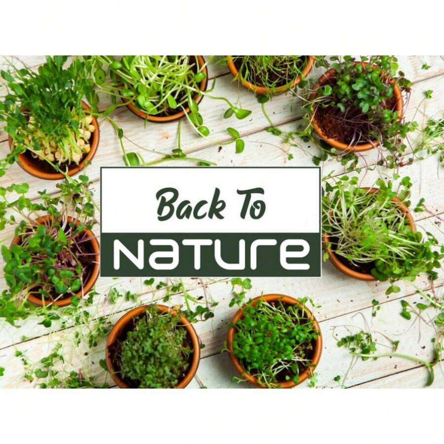 Cabbage, Broccoli, Arugula Microgreen Seed Blend - Seeds - Non Gmo - Heirloom Seeds Microgreen Seeds - Grows Fast - Biến thể 1 - Xem 1