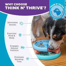 Outward Hound By Nina Ottosson Lickin' Layers Dog Puzzle Feeder, Level 2 Enrichment Dog Toy, Multicolored